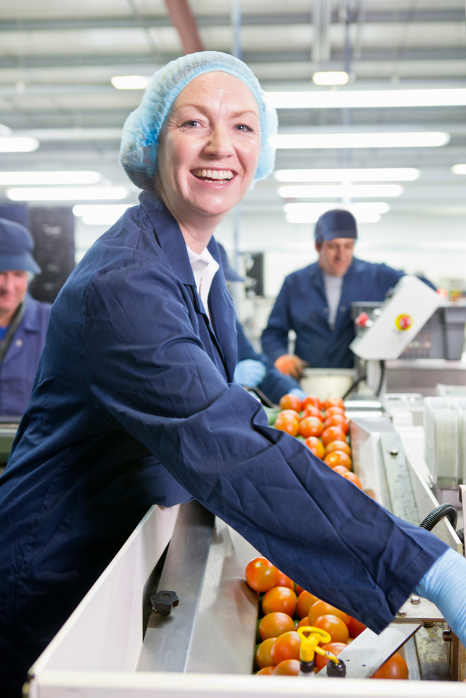 Food Manufacturing & Processing